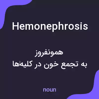 معنی hemonephrosis به فارسی معنی hemonephrosis به فارسی