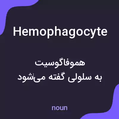 معنی hemophagocyte به فارسی معنی hemophagocyte به فارسی