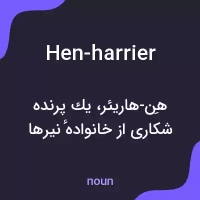 معنی hen-harrier به فارسی معنی hen-harrier به فارسی