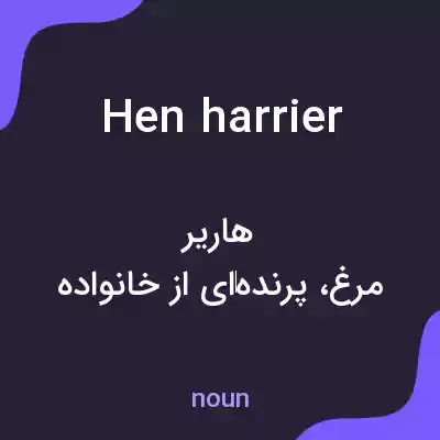 معنی hen harrier به فارسی معنی hen harrier به فارسی