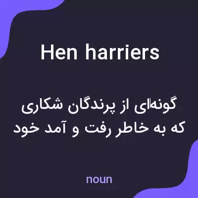 معنی hen harriers به فارسی معنی hen harriers به فارسی
