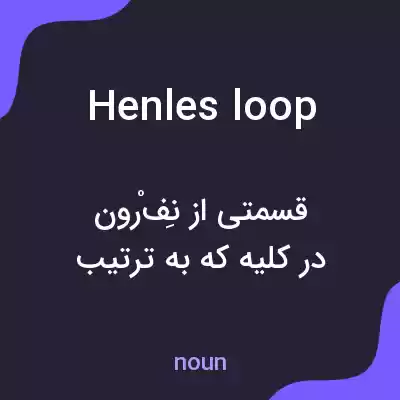 معنی henles loop به فارسی معنی henles loop به فارسی