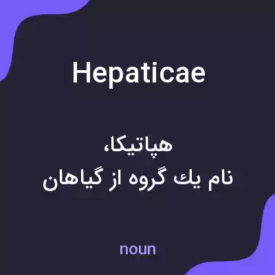 معنی hepaticae به فارسی معنی hepaticae به فارسی