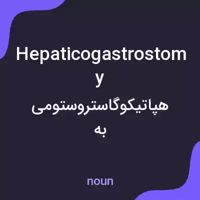 معنی hepaticogastrostomy به فارسی معنی hepaticogastrostomy به فارسی