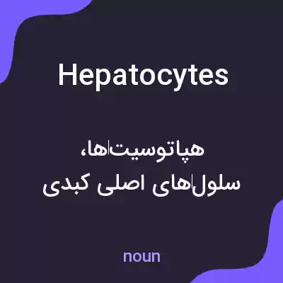 معنی hepatocytes به فارسی معنی hepatocytes به فارسی