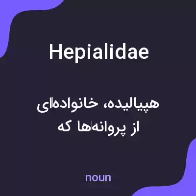 معنی hepialidae به فارسی معنی hepialidae به فارسی
