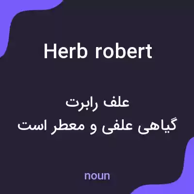 معنی herb robert به فارسی معنی herb robert به فارسی