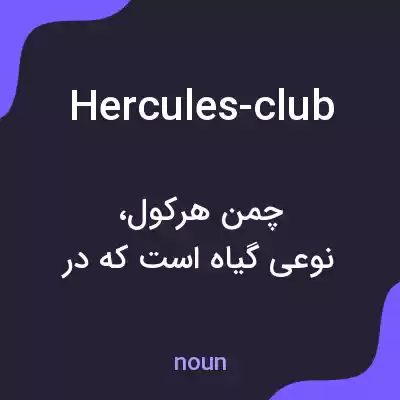 معنی hercules-club به فارسی