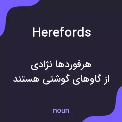 معنی herefords به فارسی معنی herefords به فارسی