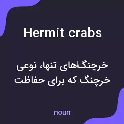 معنی hermit crabs به فارسی معنی hermit crabs به فارسی