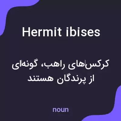 معنی hermit ibises به فارسی معنی hermit ibises به فارسی
