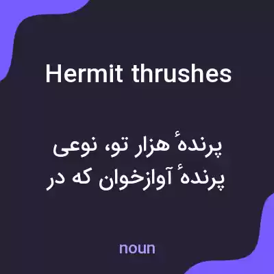 معنی hermit thrushes به فارسی معنی hermit thrushes به فارسی