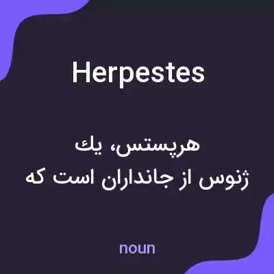 معنی herpestes به فارسی معنی herpestes به فارسی