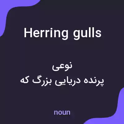 معنی herring gulls به فارسی معنی herring gulls به فارسی