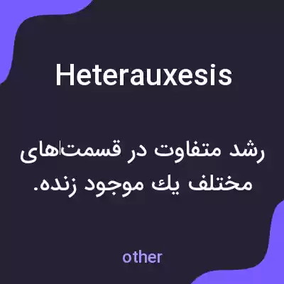 معنی heterauxesis به فارسی معنی heterauxesis به فارسی