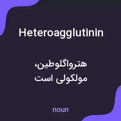 معنی heteroagglutinin به فارسی معنی heteroagglutinin به فارسی
