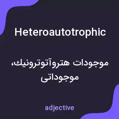 معنی heteroautotrophic به فارسی معنی heteroautotrophic به فارسی