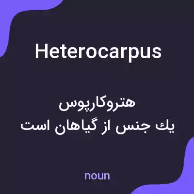 معنی heterocarpus به فارسی معنی heterocarpus به فارسی