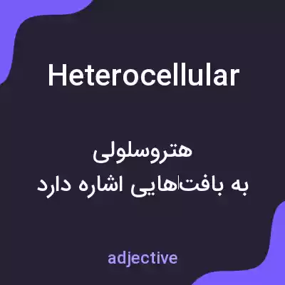 معنی heterocellular به فارسی معنی heterocellular به فارسی