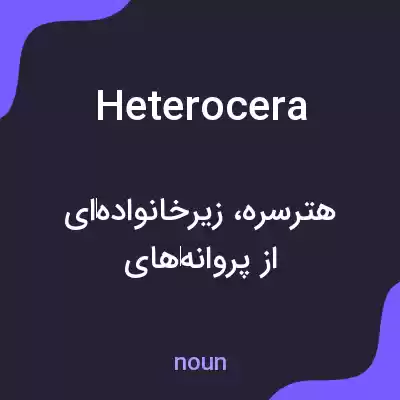 معنی heterocera به فارسی معنی heterocera به فارسی