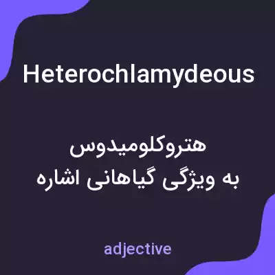 معنی heterochlamydeous به فارسی معنی heterochlamydeous به فارسی