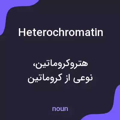 معنی heterochromatin به فارسی معنی heterochromatin به فارسی