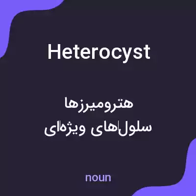 معنی heterocyst به فارسی معنی heterocyst به فارسی