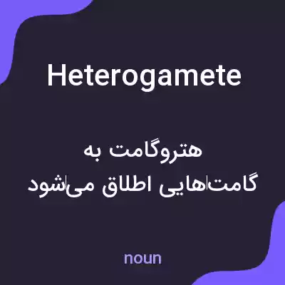 معنی heterogamete به فارسی معنی heterogamete به فارسی