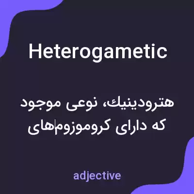 معنی heterogametic به فارسی معنی heterogametic به فارسی