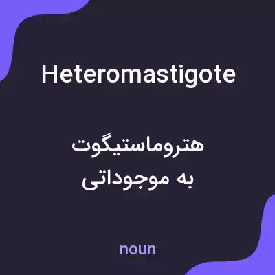 معنی heteromastigote به فارسی معنی heteromastigote به فارسی