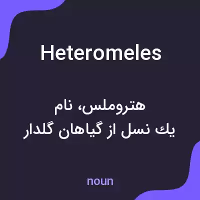 معنی heteromeles به فارسی معنی heteromeles به فارسی