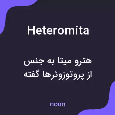 معنی heteromita به فارسی معنی heteromita به فارسی