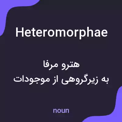 معنی heteromorphae به فارسی معنی heteromorphae به فارسی