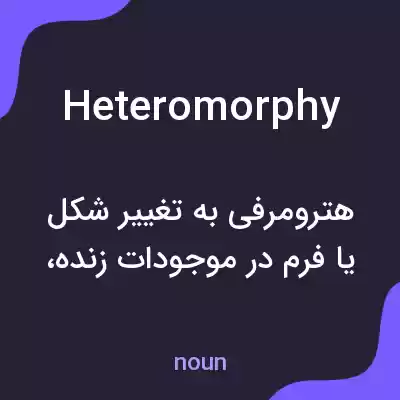 معنی heteromorphy به فارسی معنی heteromorphy به فارسی