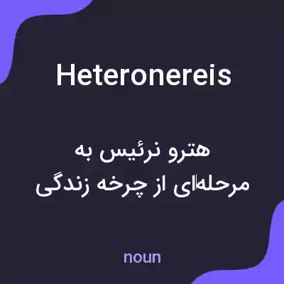 معنی heteronereis به فارسی معنی heteronereis به فارسی