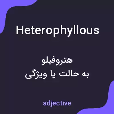 معنی heterophyllous به فارسی معنی heterophyllous به فارسی