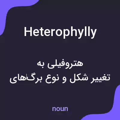 معنی heterophylly به فارسی معنی heterophylly به فارسی