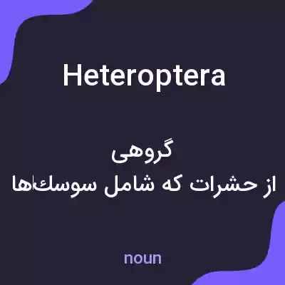 معنی heteroptera به فارسی معنی heteroptera به فارسی