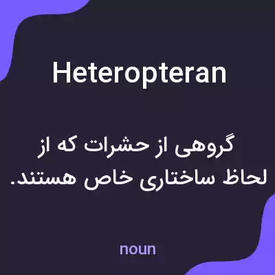 معنی heteropteran به فارسی معنی heteropteran به فارسی