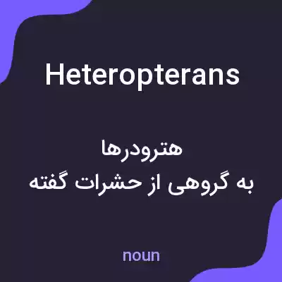 معنی heteropterans به فارسی معنی heteropterans به فارسی
