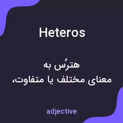 معنی heteros به فارسی معنی heteros به فارسی