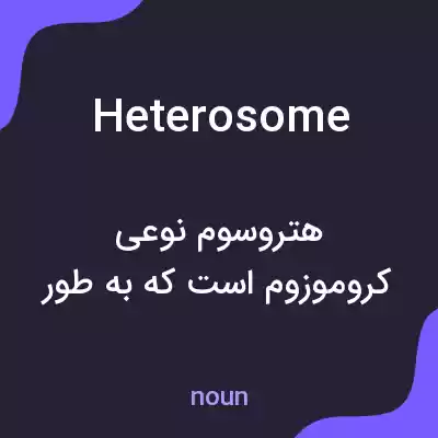 معنی heterosome به فارسی معنی heterosome به فارسی