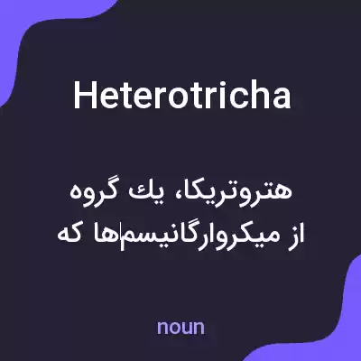معنی heterotricha به فارسی معنی heterotricha به فارسی