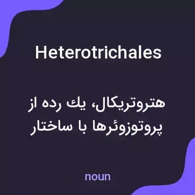معنی heterotrichales به فارسی معنی heterotrichales به فارسی