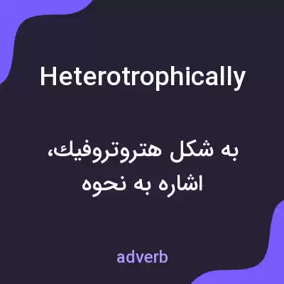 معنی heterotrophically به فارسی معنی heterotrophically به فارسی