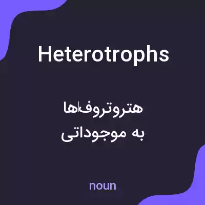 معنی heterotrophs به فارسی معنی heterotrophs به فارسی