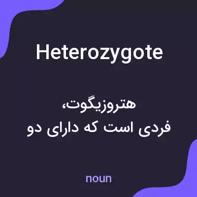 معنی heterozygote به فارسی معنی heterozygote به فارسی