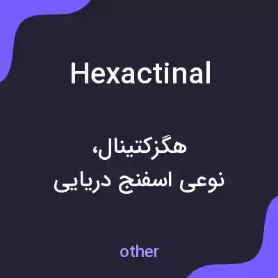 معنی hexactinal به فارسی معنی hexactinal به فارسی