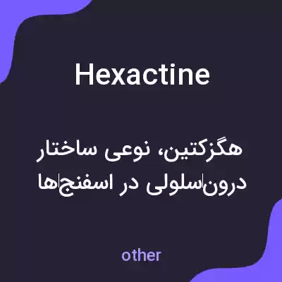 معنی hexactine به فارسی معنی hexactine به فارسی