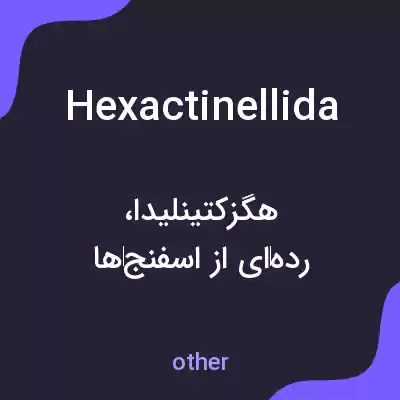 معنی hexactinellida به فارسی معنی hexactinellida به فارسی